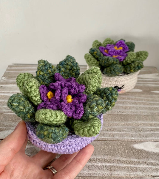 African Violet Crochet Pattern