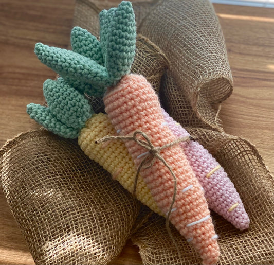 Rustic Carrots & Eggs Crochet Pattern