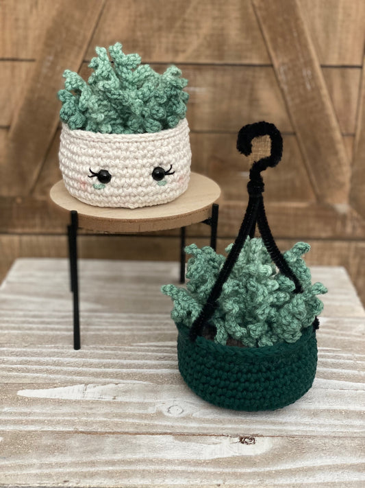 Fern Plant Crochet Pattern