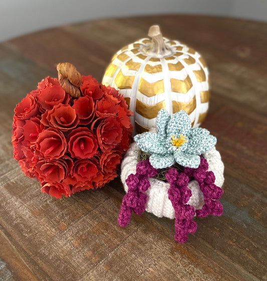 Succulent Pumpkin Planter Crochet Pattern