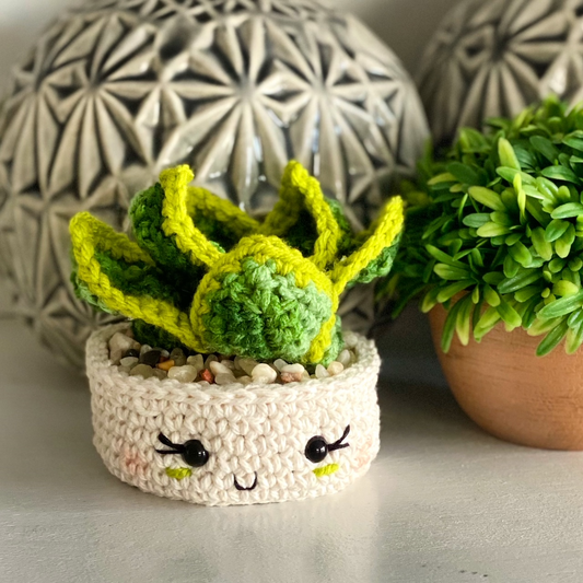 Dwarf Snake Plant Crochet Pattern