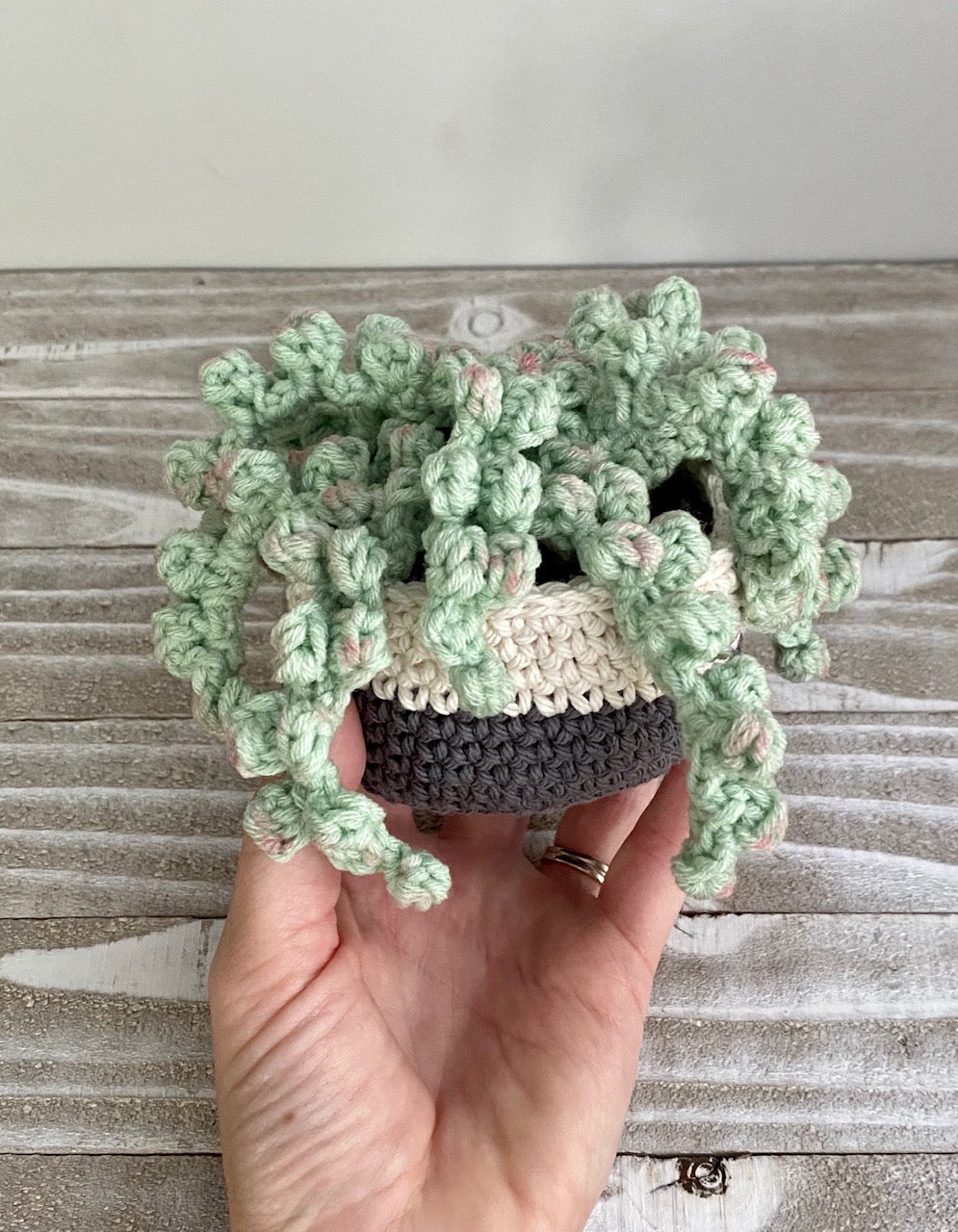 crochet succulent plant String of Pearls Crochet Pattern – Cloud 9 Knots Crochet Pattern Shop