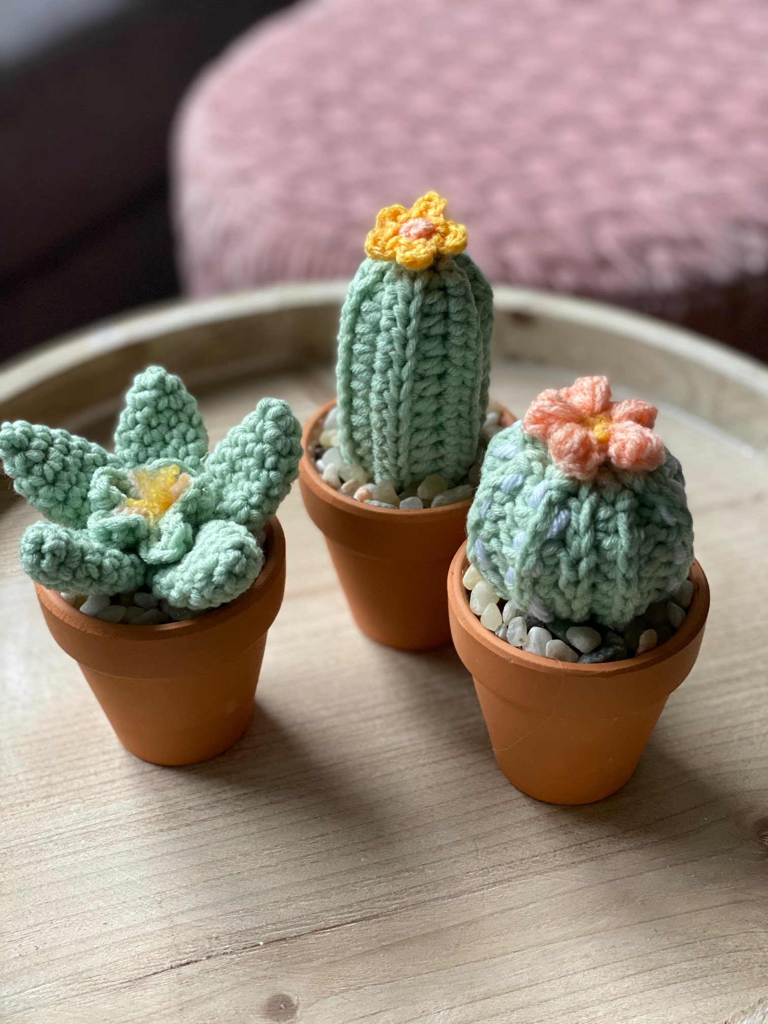 succulent pattern crochet Succulent & Cacti Mini Bundle Crochet Pattern – Cloud 9 Knots Crochet Pattern Shop