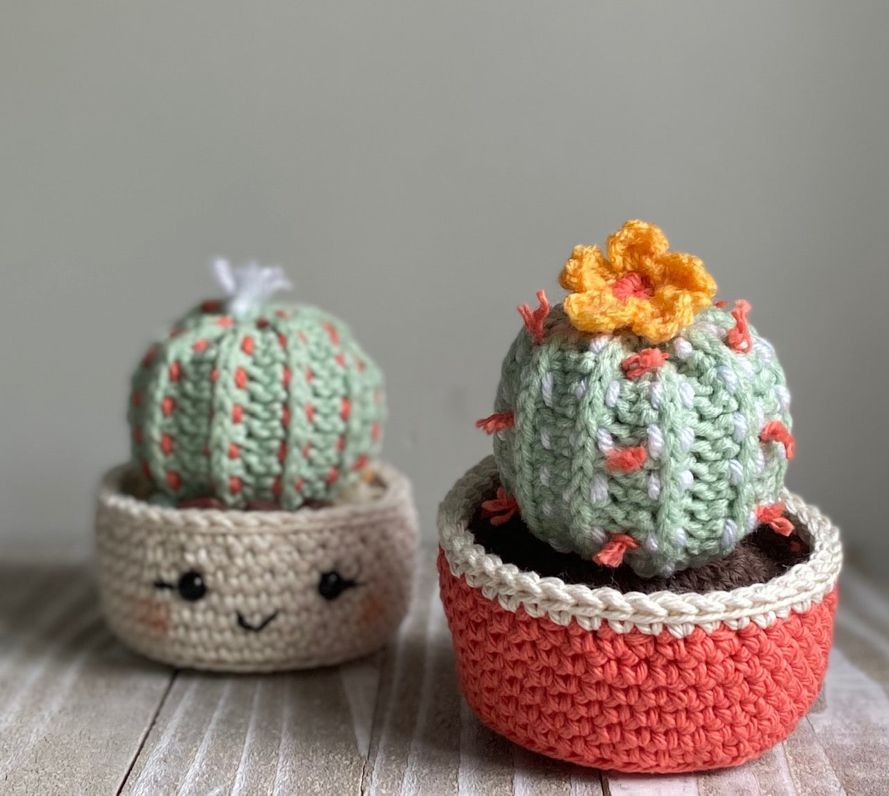 Barrel Cactus Crochet Pattern
