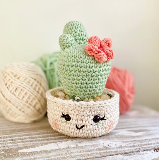 Desert Blossom Cactus Crochet Pattern