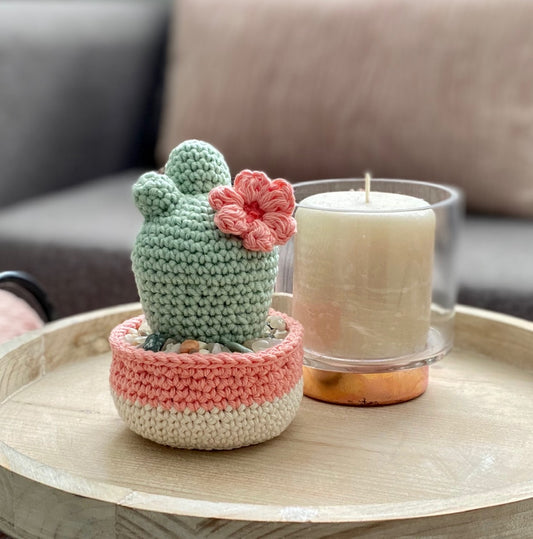 Desert Blossom Cactus Crochet Pattern