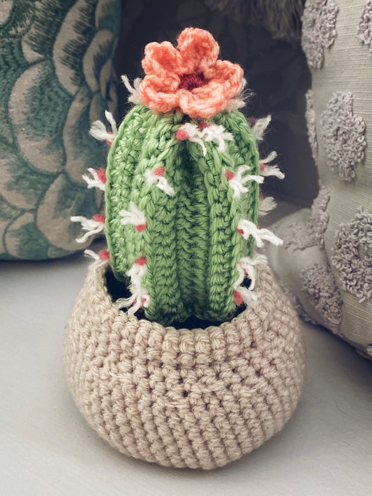Fence Post Cactus Crochet Pattern