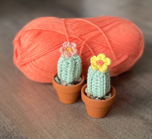 Pequeno Cactus Crochet Pattern