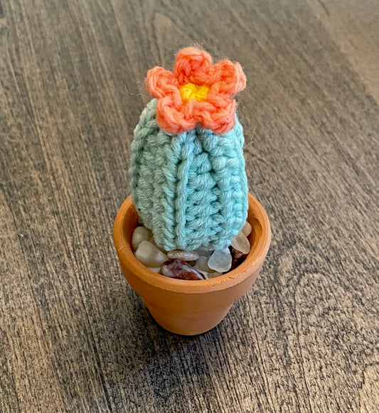 Pequeno Cactus Crochet Pattern