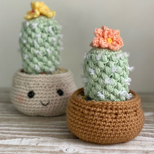 Pineapple Cactus Crochet Pattern