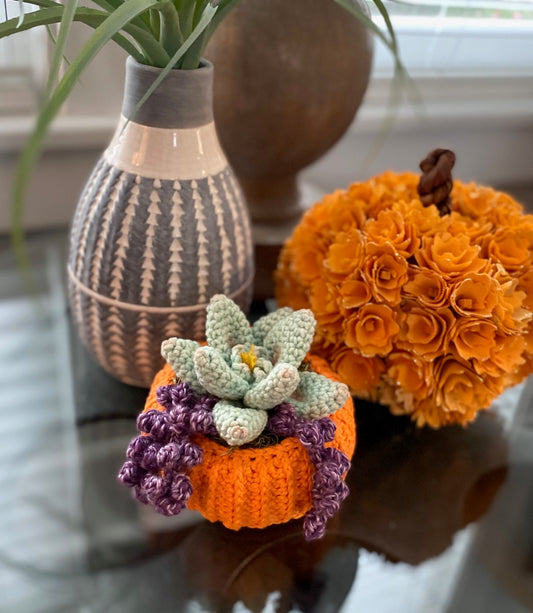 Succulent Pumpkin Planter Crochet Pattern