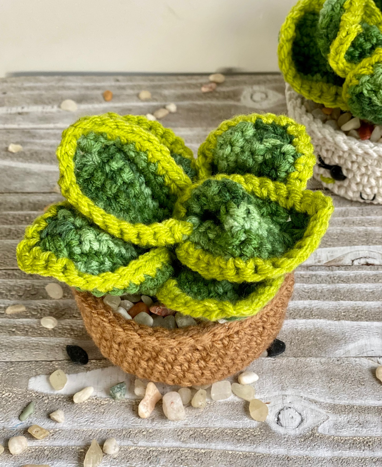 snake plant in wicker basket Dwarf Snake Plant Crochet Pattern – Cloud 9 Knots Crochet Pattern Shop