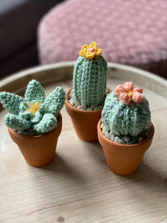 Succulent & Cacti Mini Bundle Crochet Pattern