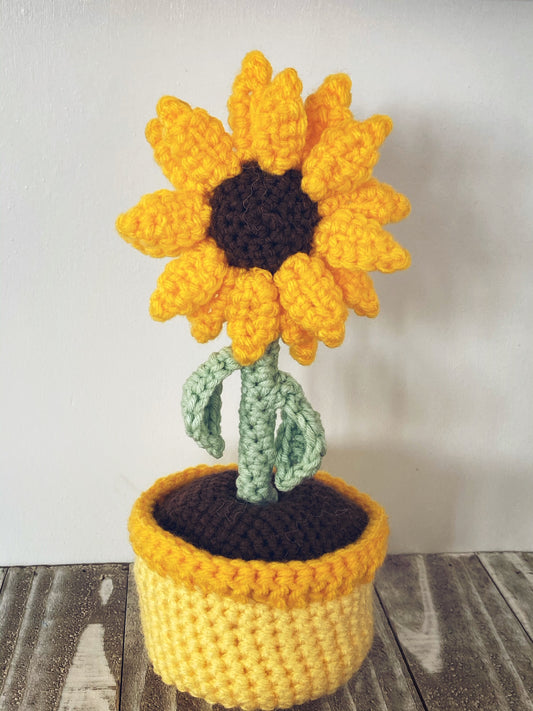 Sunflower & Daisy Crochet Pattern